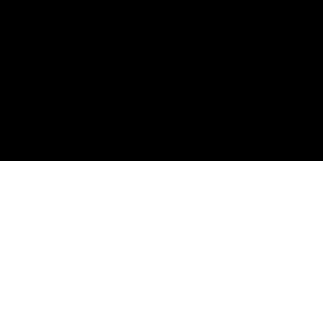 Fribourg Flag